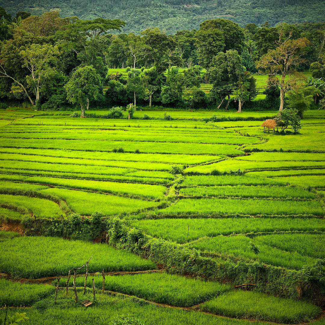 Pemandangan Kedah