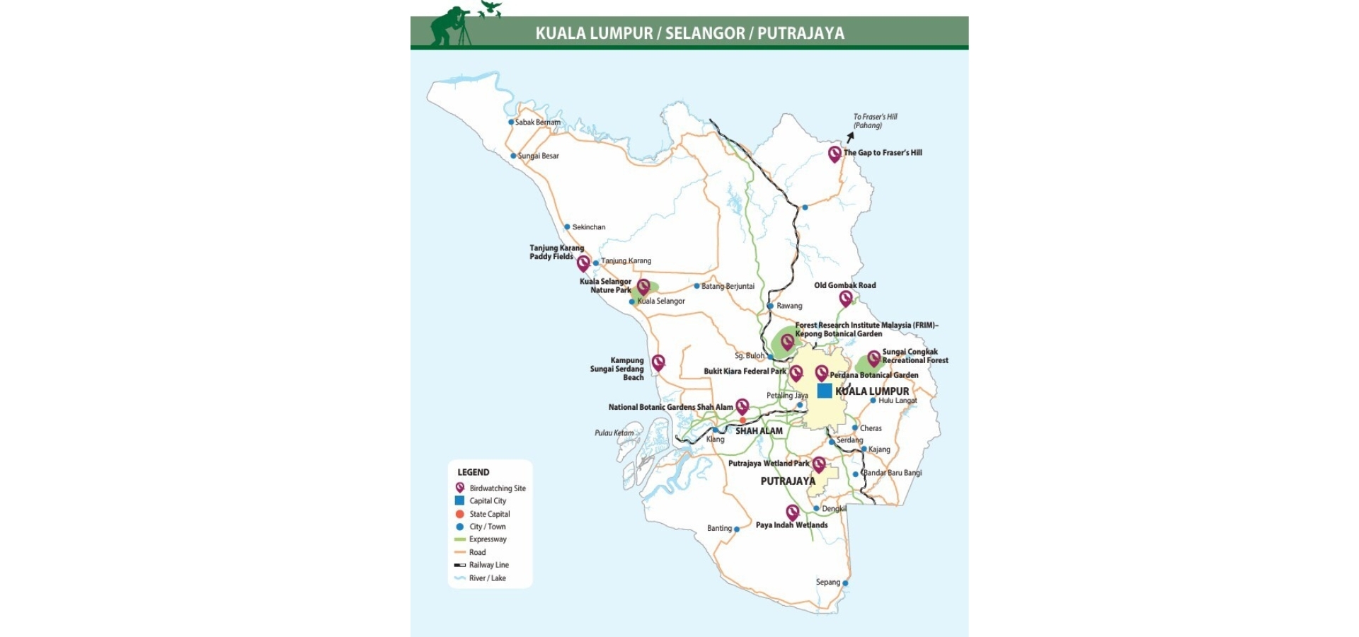 Blue-and-white flycatcher by Jonathan Kuah